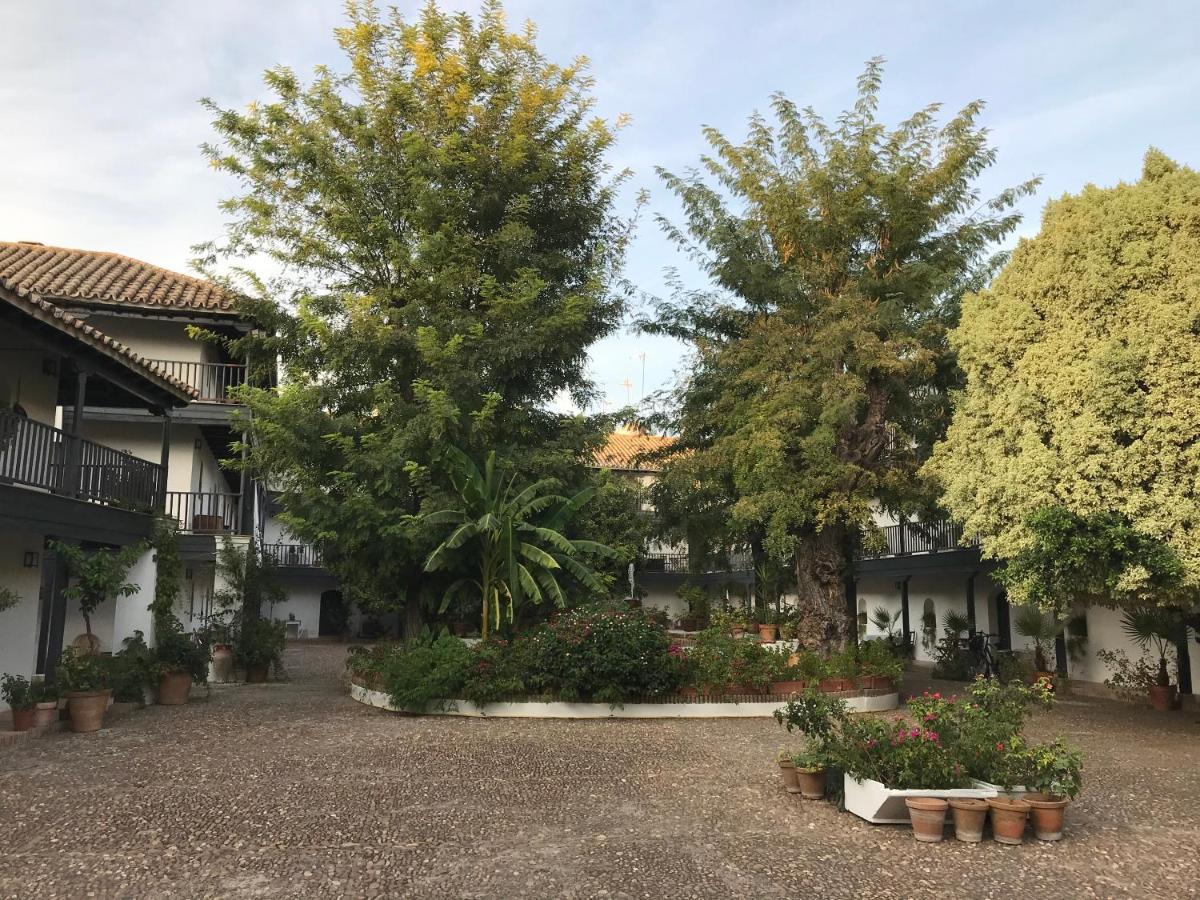 S27 Corral Del Siglo XVI Leilighet Sevilla Eksteriør bilde